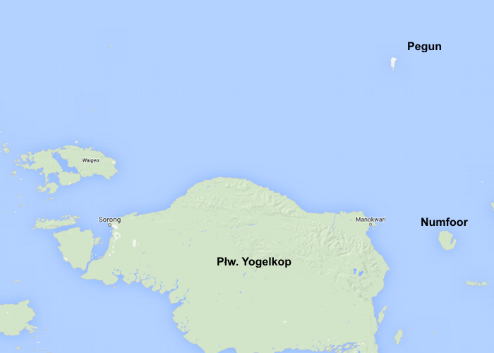 Wyspa Pegun.